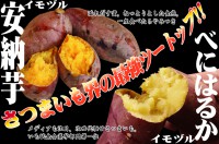 /album/feel%e8%be%b2%e5%9c%92/imoduru-1-jpg/